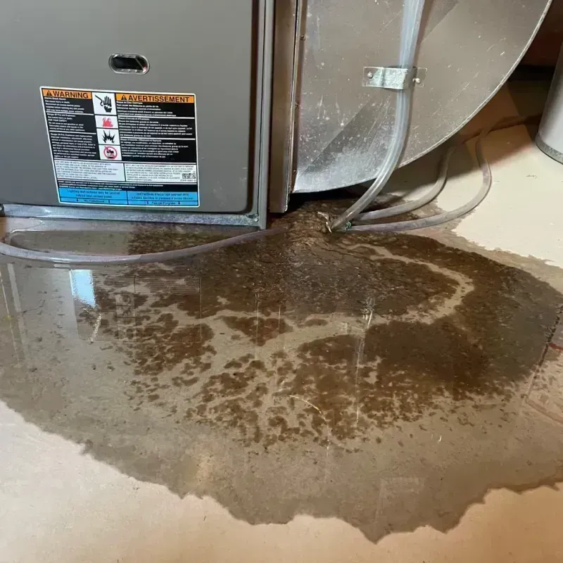 Appliance Leak Cleanup in Dolton, IL